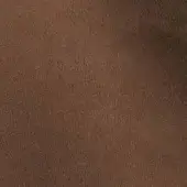 241273416 - CAMOSCIO